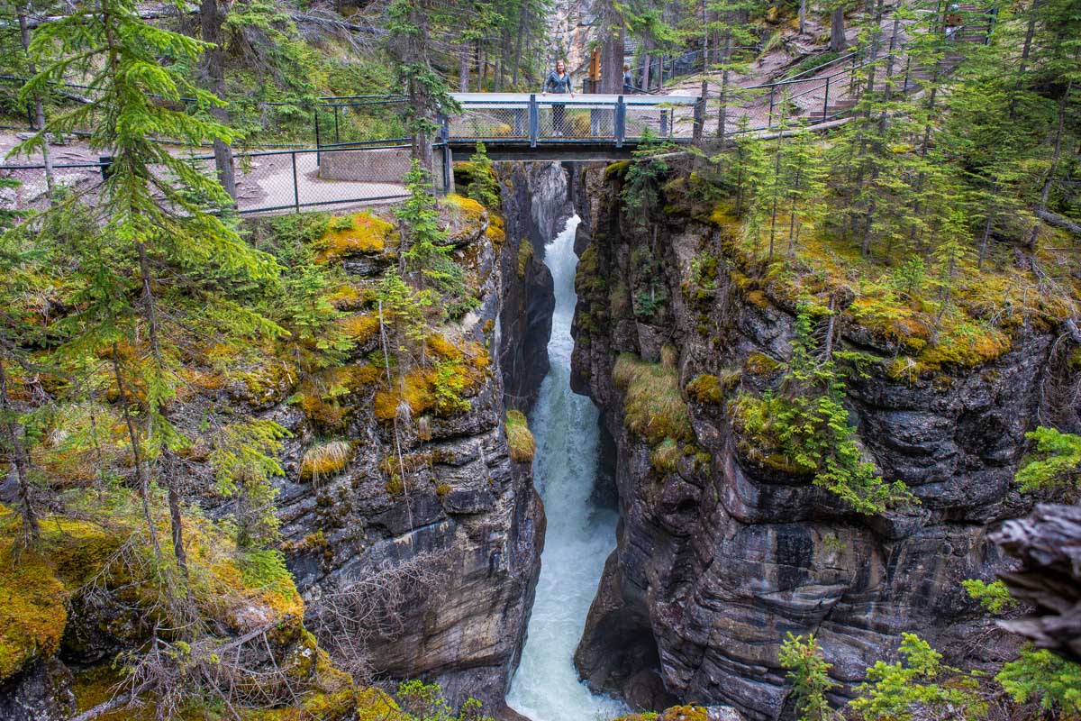 Cầu bắc qua hẻm núi Maligne Canyon